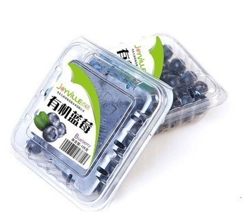 Högsta etikettmaskinslim Etikettapplikator valfri kodningsmaskin